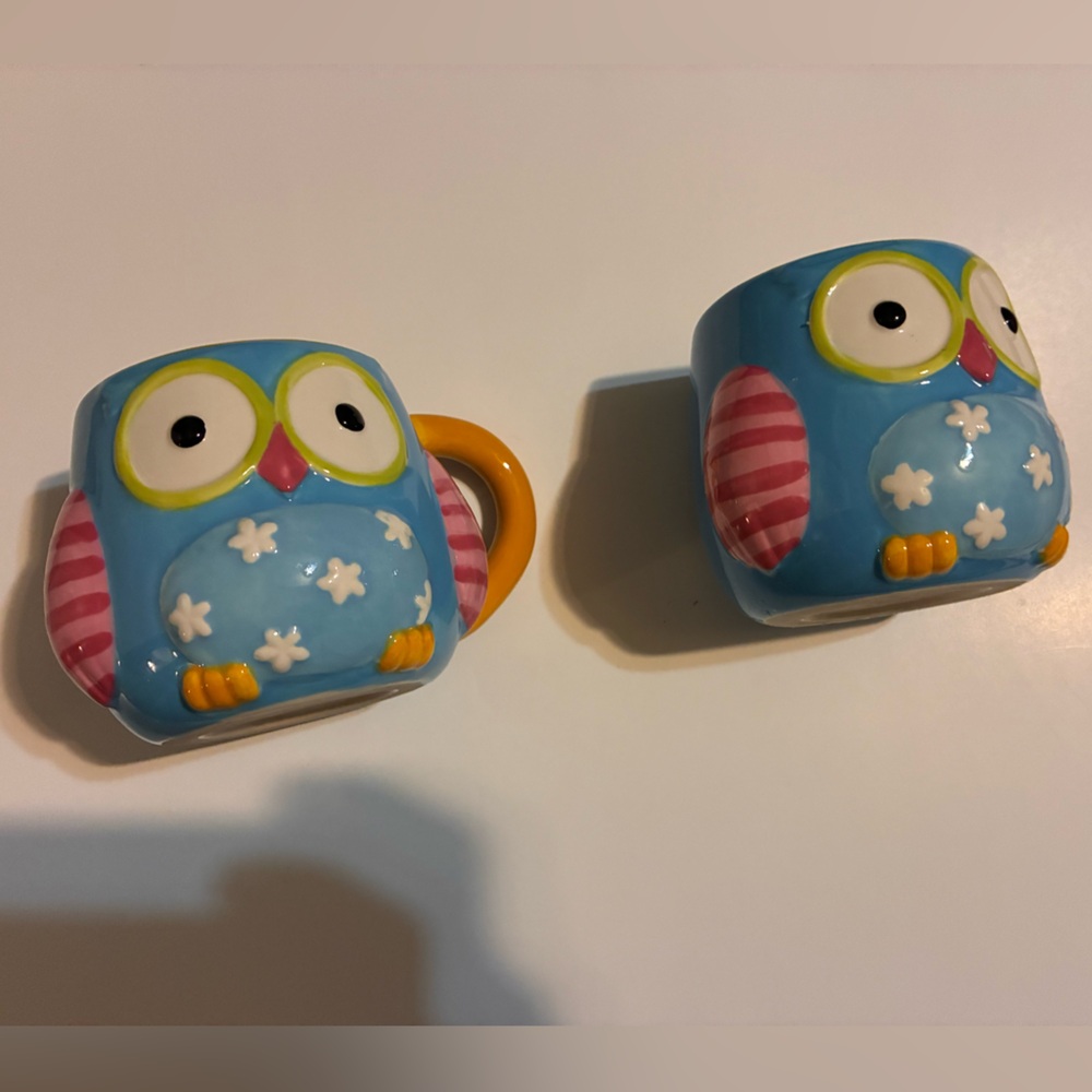Burton + Burton Colorful Owl Ceramic twin coffee Mugs